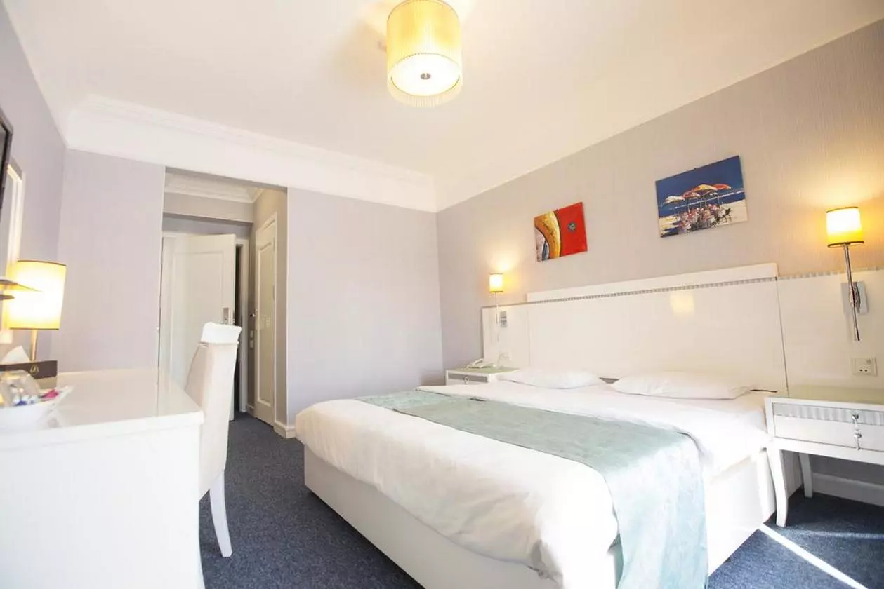 AMBER_SHABAVIZ (18).jpg